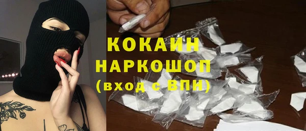 прущие грибы Богородск