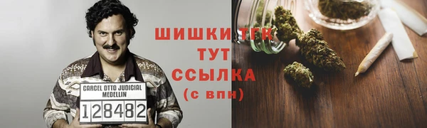 jwh Богородицк
