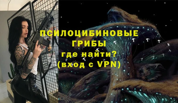 СК Богданович