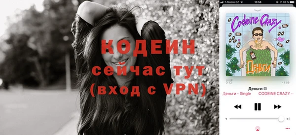 прущие грибы Богородск