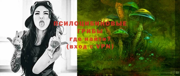 СК Богданович