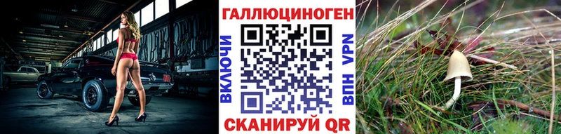blacksprut ССЫЛКА  Пыть-Ях  Псилоцибиновые грибы прущие грибы 